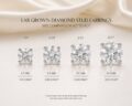 Comparison of lab grown diamond stud earrings in different sizes and carats.